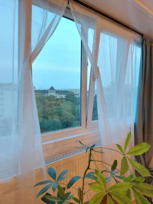 Sweet Dreams Suites Cismigiu Studio Bucureşti Ngoại thất bức ảnh
